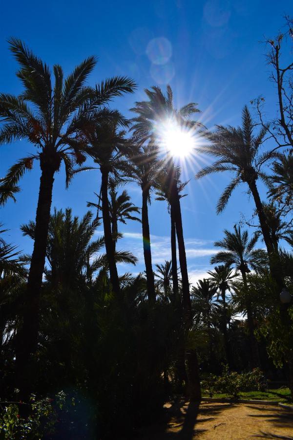 Rafaello Apartment ,,La Zona Cabo Roig, Area Cabo Roig" 오리후엘라 외부 사진