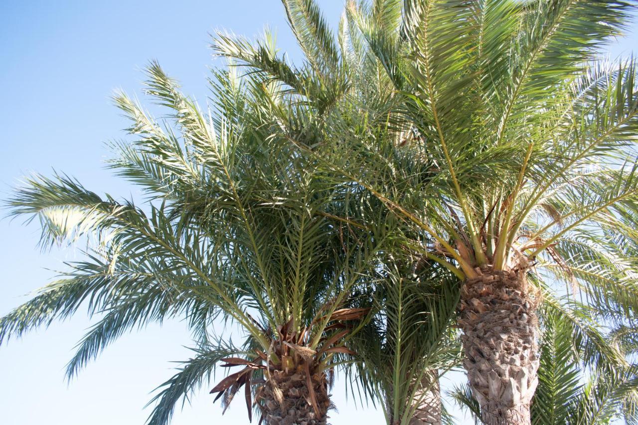 Rafaello Apartment ,,La Zona Cabo Roig, Area Cabo Roig" 오리후엘라 외부 사진